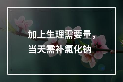 加上生理需要量，当天需补氯化钠