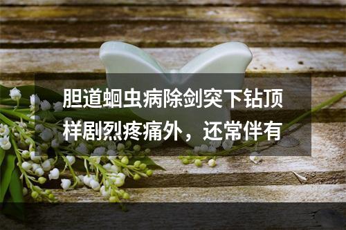 胆道蛔虫病除剑突下钻顶样剧烈疼痛外，还常伴有