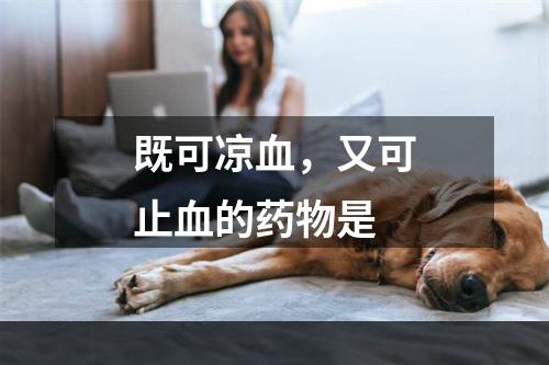 既可凉血，又可止血的药物是