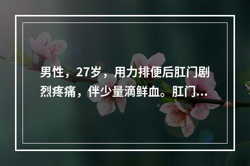 男性，27岁，用力排便后肛门剧烈疼痛，伴少量滴鲜血。肛门检查