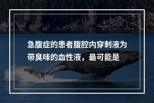 急腹症的患者腹腔内穿刺液为带臭味的血性液，最可能是