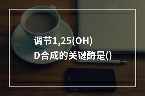 调节1,25(OH)D合成的关键酶是()