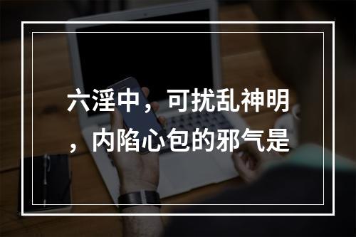 六淫中，可扰乱神明，内陷心包的邪气是