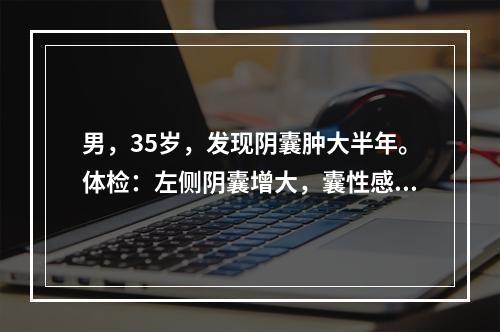 男，35岁，发现阴囊肿大半年。体检：左侧阴囊增大，囊性感，透