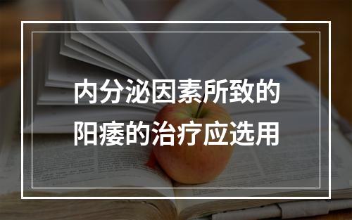 内分泌因素所致的阳痿的治疗应选用