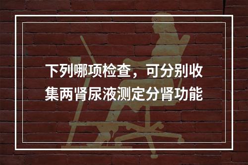 下列哪项检查，可分别收集两肾尿液测定分肾功能