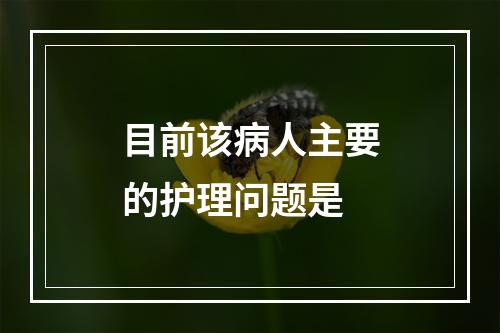 目前该病人主要的护理问题是