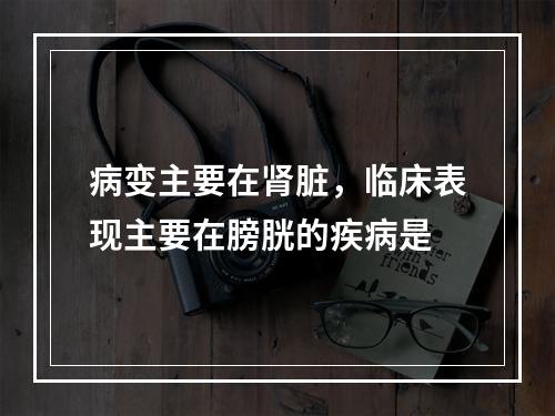 病变主要在肾脏，临床表现主要在膀胱的疾病是