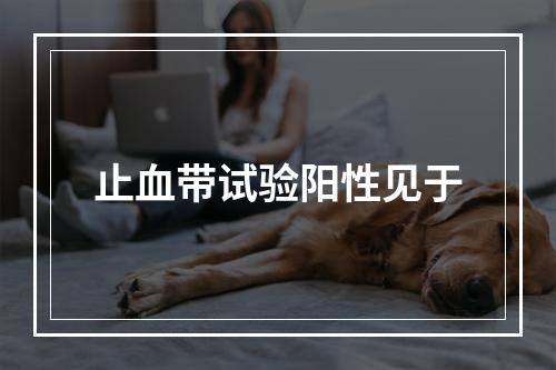 止血带试验阳性见于