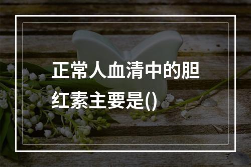 正常人血清中的胆红素主要是()