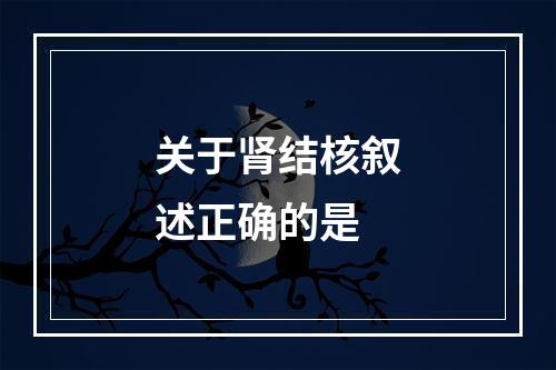 关于肾结核叙述正确的是