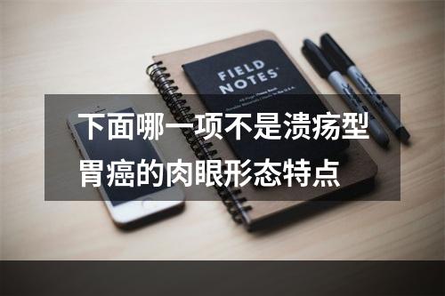 下面哪一项不是溃疡型胃癌的肉眼形态特点