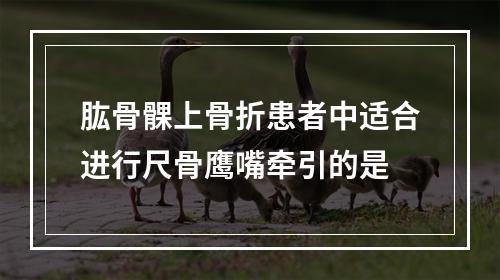 肱骨髁上骨折患者中适合进行尺骨鹰嘴牵引的是