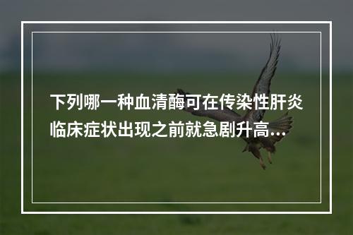 下列哪一种血清酶可在传染性肝炎临床症状出现之前就急剧升高()