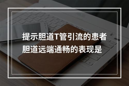 提示胆道T管引流的患者胆道远端通畅的表现是