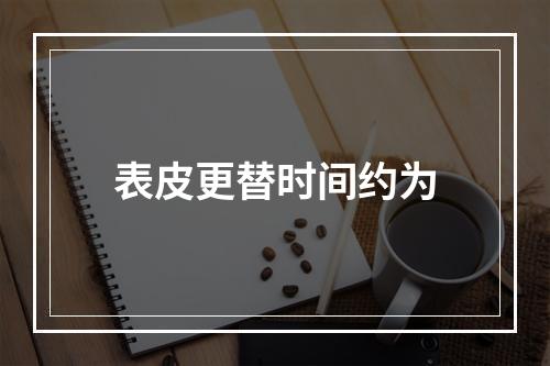 表皮更替时间约为