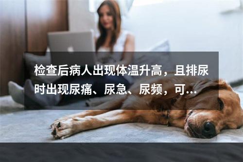 检查后病人出现体温升高，且排尿时出现尿痛、尿急、尿频，可能出