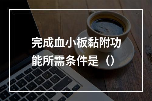 完成血小板黏附功能所需条件是（）