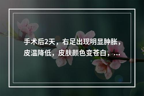 手术后2天，右足出现明显肿胀，皮温降低，皮肤颜色变苍白，感觉