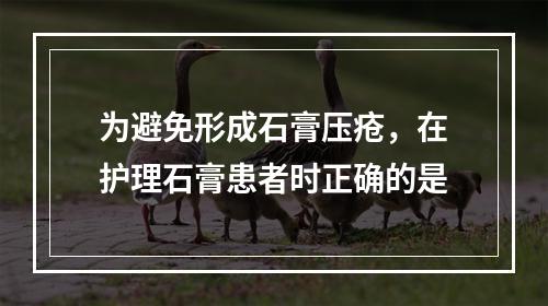 为避免形成石膏压疮，在护理石膏患者时正确的是