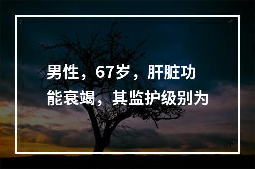 男性，67岁，肝脏功能衰竭，其监护级别为