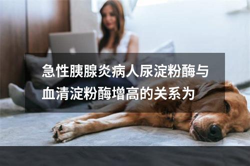 急性胰腺炎病人尿淀粉酶与血清淀粉酶增高的关系为