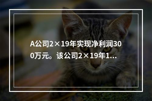 A公司2×19年实现净利润300万元。该公司2×19年12月