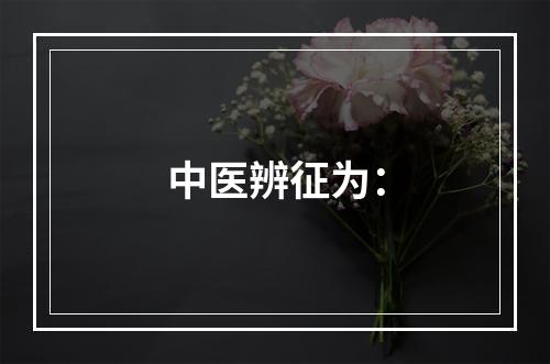 中医辨征为：