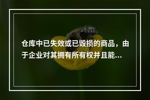 仓库中已失效或已毁损的商品，由于企业对其拥有所有权并且能够实