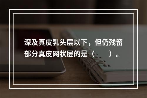 深及真皮乳头层以下，但仍残留部分真皮网状层的是（　　）。