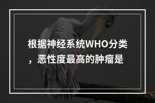 根据神经系统WHO分类，恶性度最高的肿瘤是