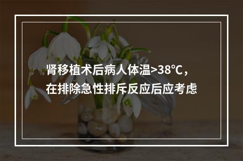 肾移植术后病人体温>38℃，在排除急性排斥反应后应考虑