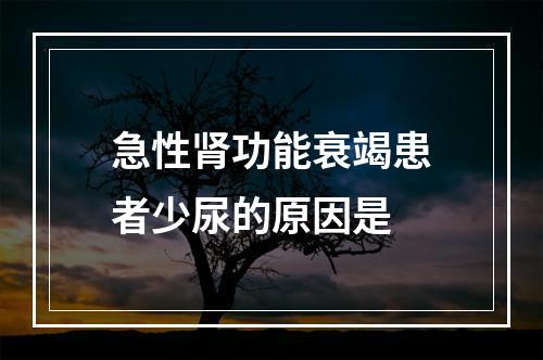 急性肾功能衰竭患者少尿的原因是