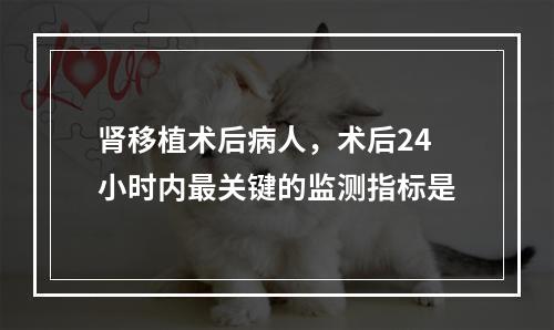 肾移植术后病人，术后24小时内最关键的监测指标是