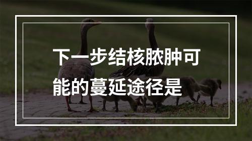 下一步结核脓肿可能的蔓延途径是