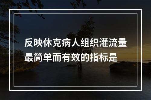 反映休克病人组织灌流量最简单而有效的指标是