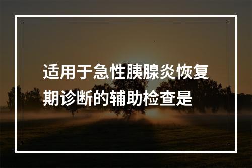 适用于急性胰腺炎恢复期诊断的辅助检查是