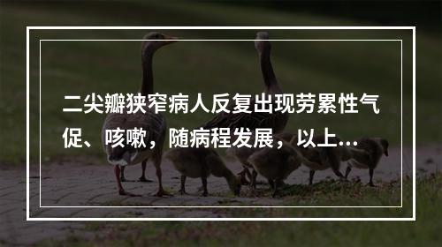 二尖瓣狭窄病人反复出现劳累性气促、咳嗽，随病程发展，以上症状