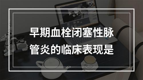 早期血栓闭塞性脉管炎的临床表现是