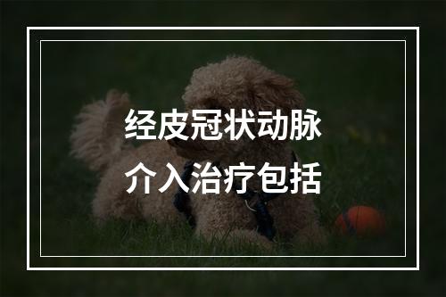 经皮冠状动脉介入治疗包括