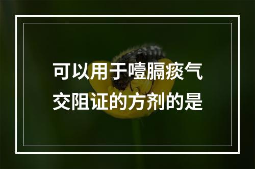 可以用于噎膈痰气交阻证的方剂的是