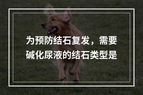 为预防结石复发，需要碱化尿液的结石类型是