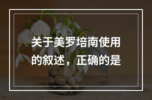 关于美罗培南使用的叙述，正确的是