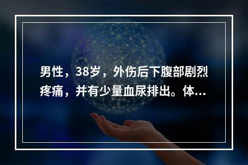 男性，38岁，外伤后下腹部剧烈疼痛，并有少量血尿排出。体查：