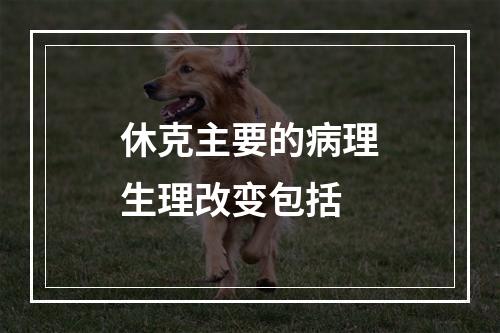 休克主要的病理生理改变包括