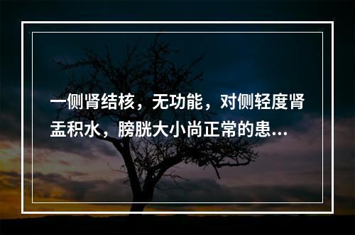 一侧肾结核，无功能，对侧轻度肾盂积水，膀胱大小尚正常的患者，