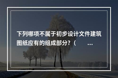 下列哪项不属于初步设计文件建筑图纸应有的组成部分?（　　）