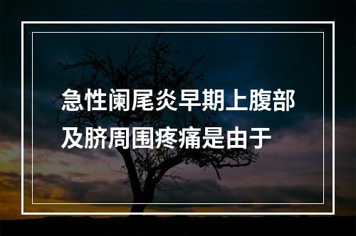 急性阑尾炎早期上腹部及脐周围疼痛是由于