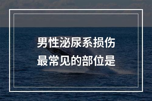 男性泌尿系损伤最常见的部位是