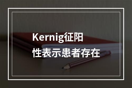 Kernig征阳性表示患者存在